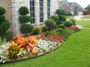 prosper-landscaping