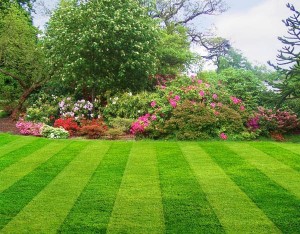 dallas lawn and landscaping