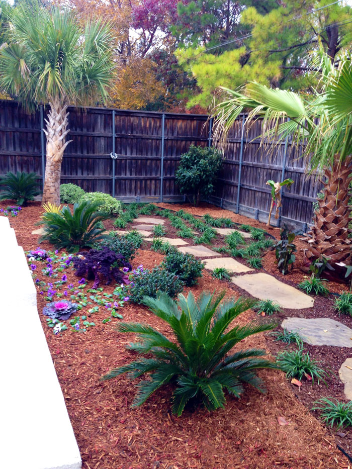 Tropical Landscaping Archives Landscaping Outdoor Kitchens Pool Renovation Frisco Plano Prosper Mckinney - Tropical Plants Around Pool In Texas
