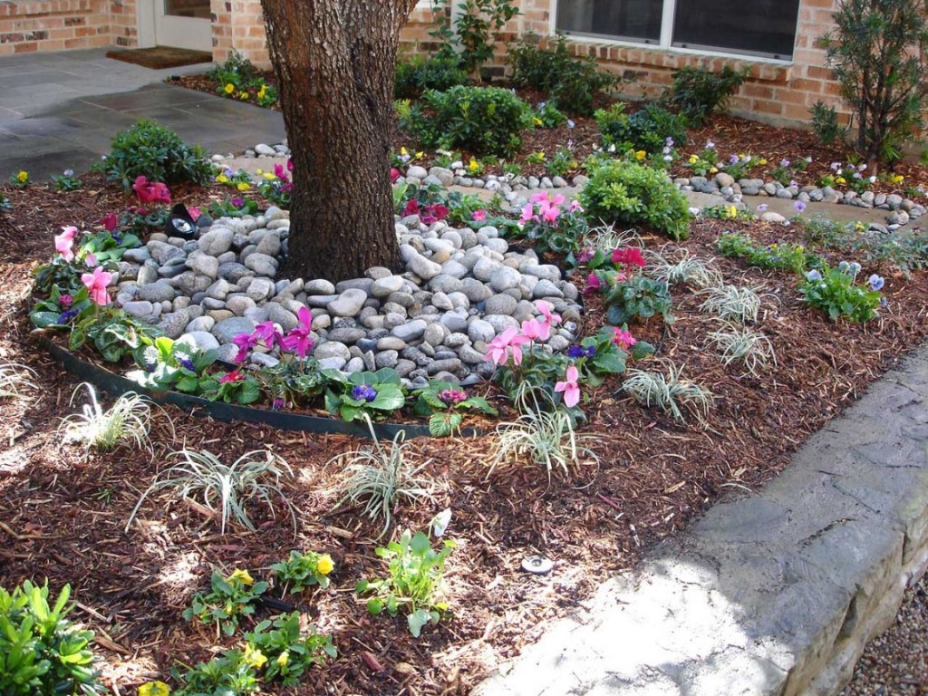 Absolutely Bushed Landscaping Spring Plantings in North Dallas Courtyard