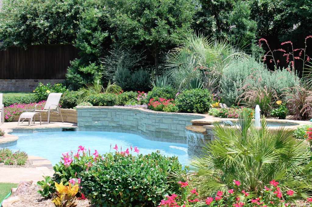 swimming pool landscaping renovation