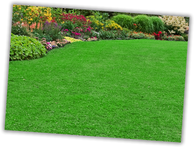 lawn and landscaping frisco