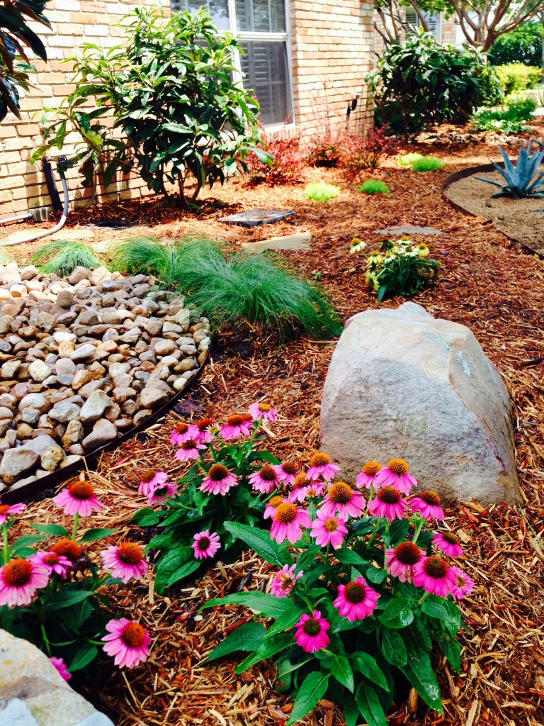 xeriscape landscaping