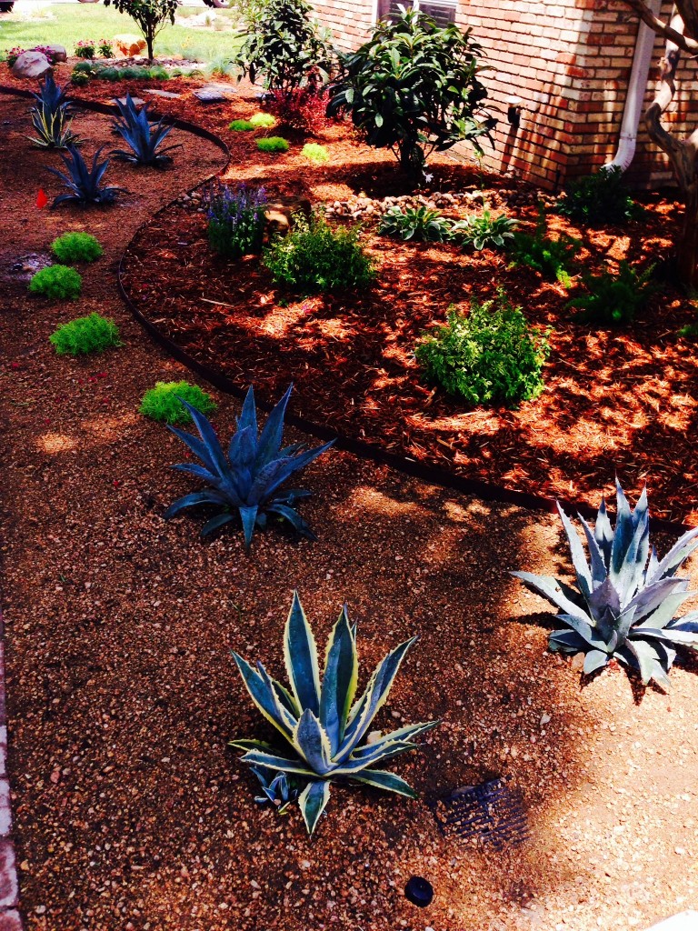 xeriscape landscaping