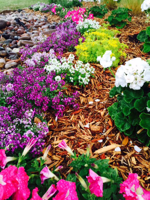 fall landscaping flowerbed