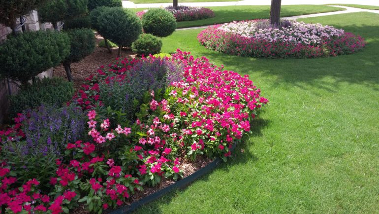 Prosper Landscaping | Prosper Landscape Design | Prosper Landscaper